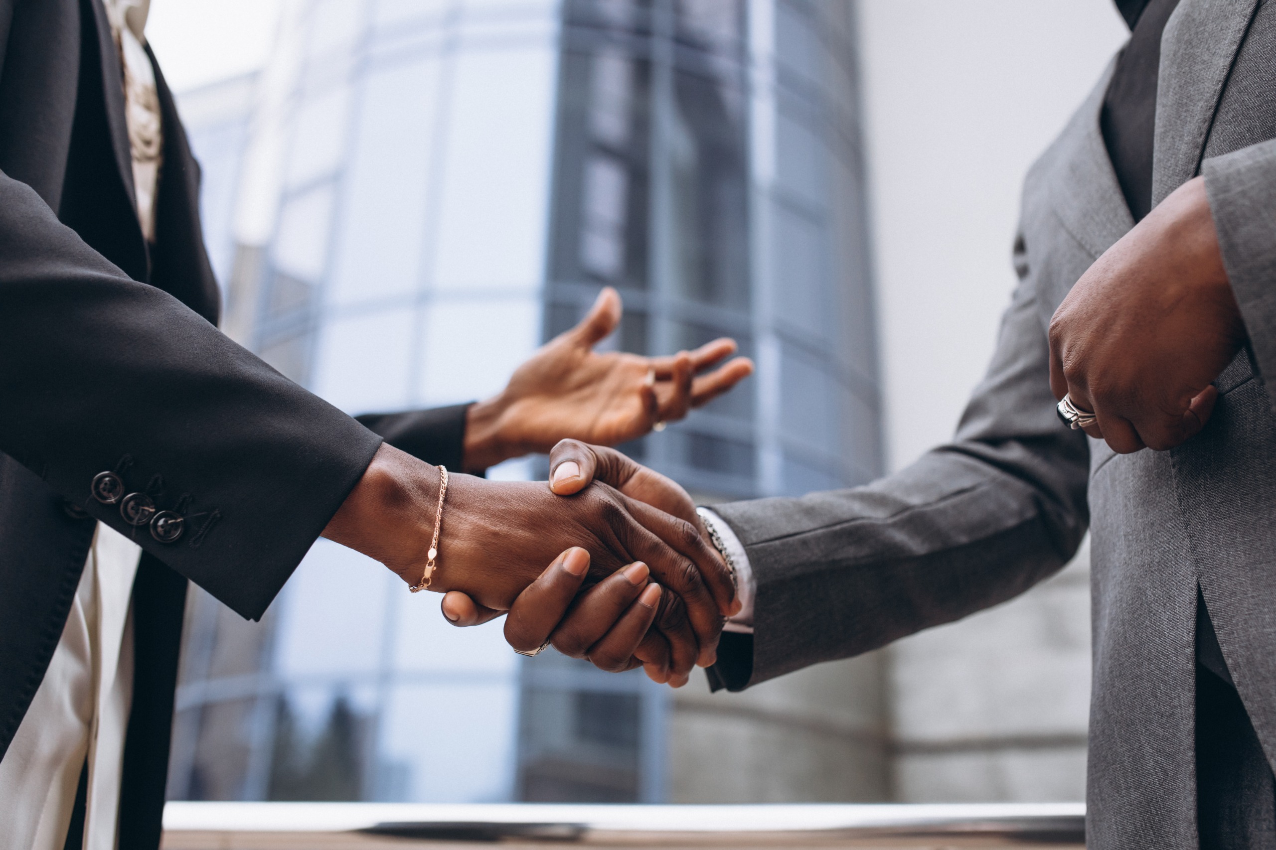 Professionals forming an international partnership